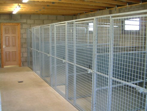 dog boarding training adelaide ~ Training for Dog