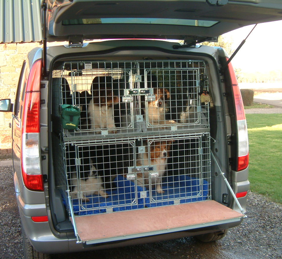 dog cycle basket